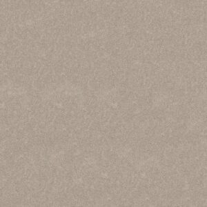 HARD AT PLAY III 15' by Shaw Floors - Soft Sense