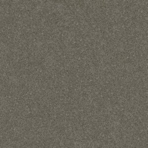 WITHOUT LIMITS II by Shaw Floors - Organic