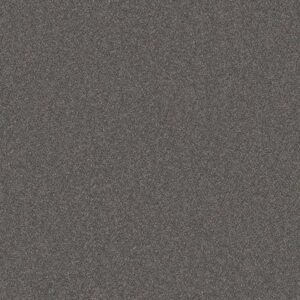 WITHOUT LIMITS III by Shaw Floors - Granite