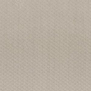 FORMALIZE by Shaw Floors - Fossil Path