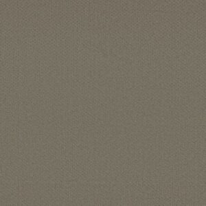 INFALLIBLE INSTINCT by Shaw Floors - Abbey Stone