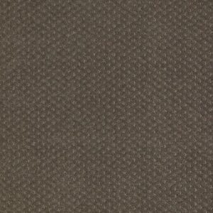 LIFE LESSONS by Shaw Floors - Graphite