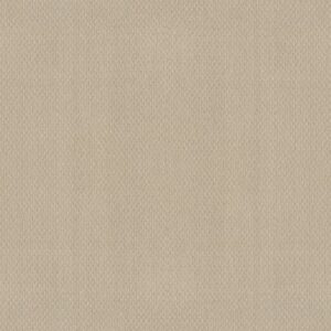 INFALLIBLE INSTINCT by Shaw Floors - Sentimental