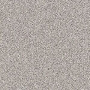 ELEMENTAL MIX I by Shaw Floors - Whitewash
