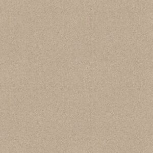 ALWAYS READY I by Shaw Floors - Boutique