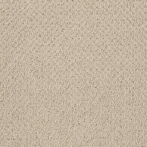 ARTIST VIEW LOOP by Shaw Floors - Clay Stone