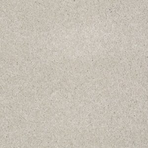 YOU KNOW IT by Shaw Floors - Mist
