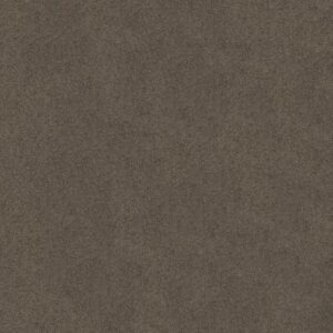 MY INSPIRATION III by Shaw Floors - Rustic Elegance