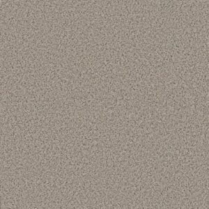 STRANDS OF NATURE I by Shaw Floors - Gentle Rain
