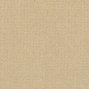 THE FAIR by Shaw Floors - Soft Sun