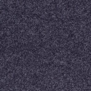 ALL STAR WEEKEND III 15' by Shaw Floors - Denim