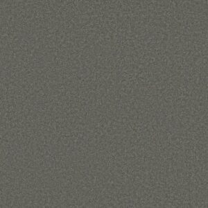 MAGIC AT LAST I 12' by Shaw Floors - Aluminum