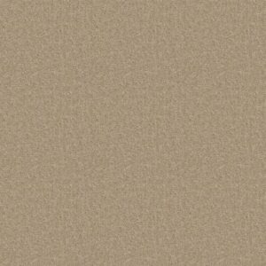 SPRINTER by Shaw Floors - Practical Beige