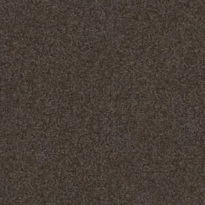 SANDY HOLLOW CLASSIC III 12' by Shaw Floors - Arrowhead
