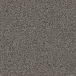 COLOR FLAIR by Shaw Floors - Gray Flannel