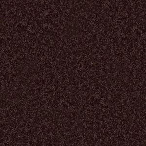 DREXEL HILL III 12' by Shaw Floors - Royal Purple