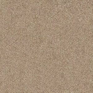 FIND YOUR COMFORT NS I by Shaw Floors - Camping Trip (S)