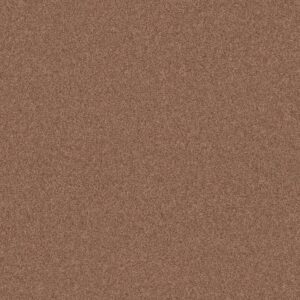 COZY HARBOR II by Shaw Floors - Sunbaked