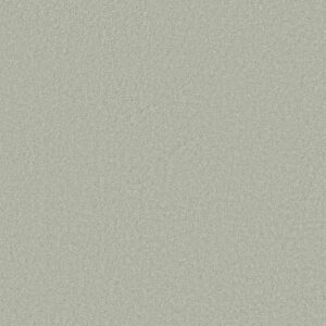 LOYAL BEAUTY III by Shaw Floors - Crystal Blue