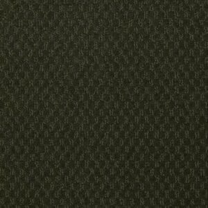 ELEMENTS by Philadelphia Commercial - Tall Evergreen