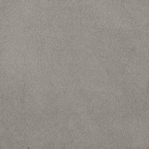 PALMETTO II by Dreamweaver - Cascadia 2224