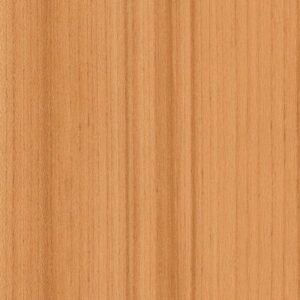 Color Range 20 by Shaw Floors - Mandarin