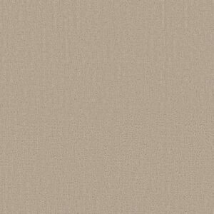 ENDLESS MEMORIES by Shaw Floors - My Haven