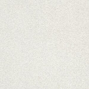 TONAL COMFORT II by Shaw Floors - Neighborhood Bistro