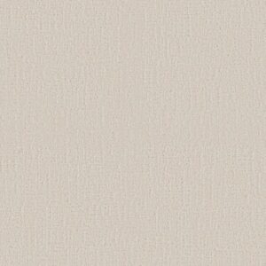 ENDLESS MEMORIES by Shaw Floors - Champagne Toast