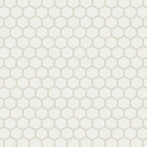 Platinum by Mannington - Hexx, Charm