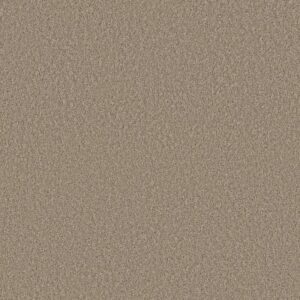 HIGH IMPACT S by Shaw Floors - Broadstreet