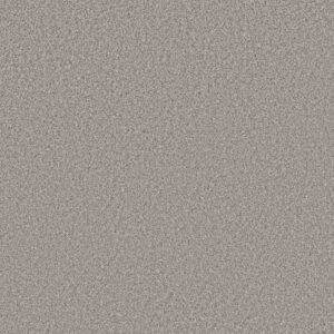 AFFIRMATION II NET by Shaw Floors - Shaved Ice