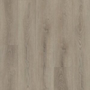 Paladin Plus by Shaw Floors - Toasted Taupe