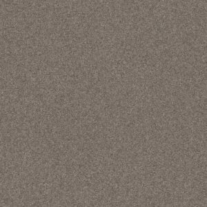 AFFIRMATION I by Shaw Floors - Creek Bend