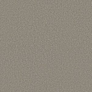 HIGH RANKING B by Shaw Floors - Shallow Water