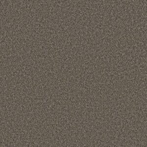 SOFT RADIANCE by Shaw Floors - Tree Bark