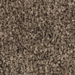 Tonal Chic I by Mohawk - Party Mix