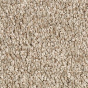 Tonal Chic I by Mohawk - Crossroads