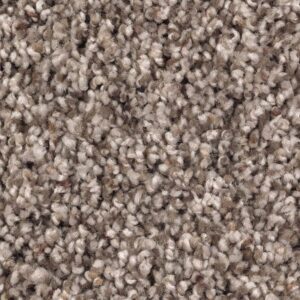 Soft Sensations I by Mohawk - Antique Earth