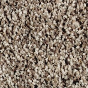 Softly Elegant I by Mohawk - Dried Peat