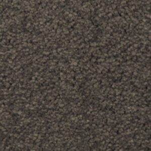 Natural Splendor I by Mohawk - Wrought Iron