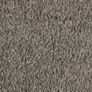 Exquisite Beauty by Mohawk - Opulent Grey