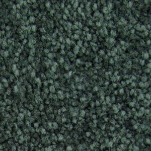 Exceptional Choice by Mohawk - Eden