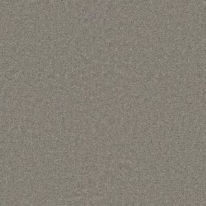 SP251 by Dreamweaver - Silver Birch 800