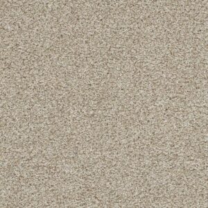 REFLECTIONS I by Dreamweaver - Seashells 758