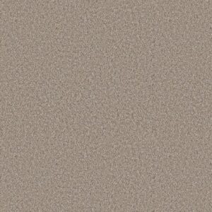 ELEVATED III by Shaw Floors - Nutria