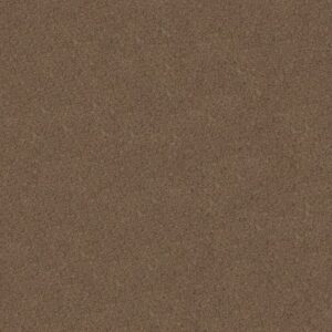 CANYON LAKE by Shaw Floors - Stone Age