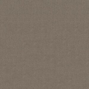 SIERRA VISTA by Shaw Floors - Arrowhead