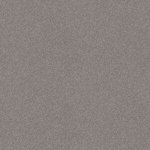 DEL RIO I by Shaw Floors - Grey Fox