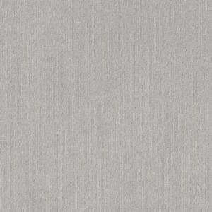 CEDAR CITY by Shaw Floors - Classic Silver